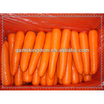 sell 2014 new crop carrot